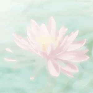 Meet your Posher, Angelica